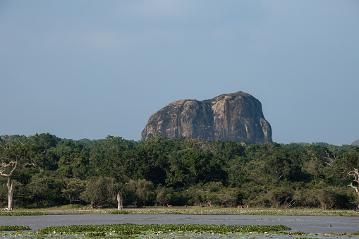 Aerial view of lake at Elephant Rock in Yala National Park in Sri Lanka with jungle bush lands and swamp ponds