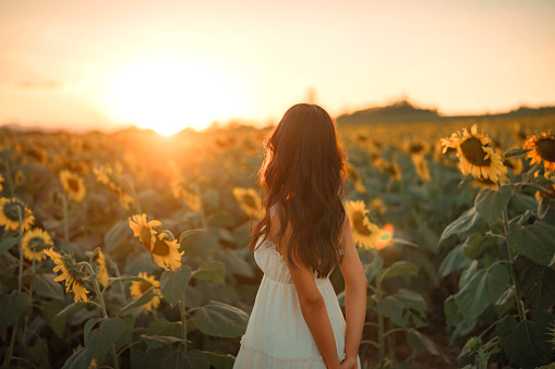 Young asian woman on the sunset or sunrise in a large field of sunflowers, Summer time.