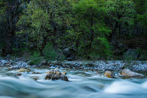 Portaikos river, Thessaly, Greece, offers the travelers a calming break into the beauty of the nearby scenery, famous also for its clear water and the old stone bridge. Located between Elati and Trikala.