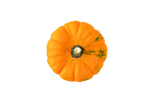 Fresh pumpkins isolated over white background. Top view