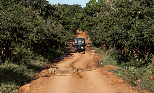 safari jeep driving on sand dirt road at Yala National Park in Sri Lanka with jungle bush lands and surrounding wildlife jungle