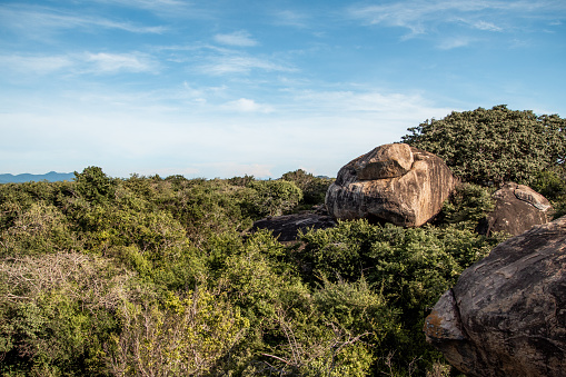 Nature Rock Boulder scenery at Yala National Park in Sri Lanka with jungle bush lands and tree canopies