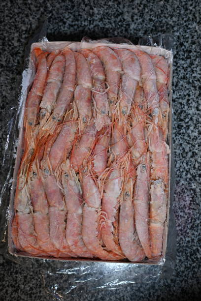 istock Red king frozen shrimp in a box 1912733521