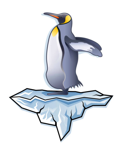 ilustrações de stock, clip art, desenhos animados e ícones de antarctica king penguin standing on iceberg illustration - penguin animal white background king penguin