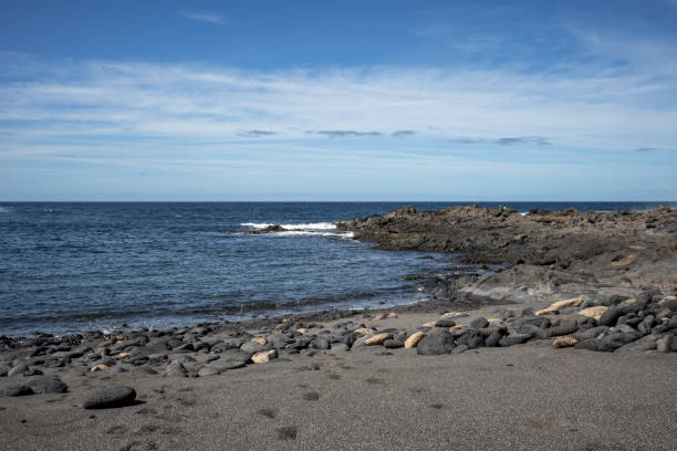 istock Dark sand beach, Lanzarote, Canary Islands, Spain 1912790413
