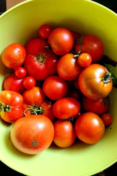 istock Bowl of tomatoes from above 1912799429
