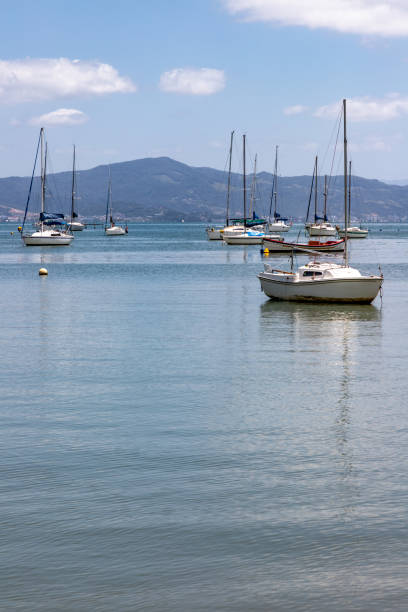istock Boats in Santo Antonio de Lisboa 1912818833