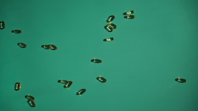 golden fish oil capsules omega 3 falling on blue background