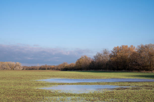 istock Rural landscape after a rainy day at autumn. 1912829687