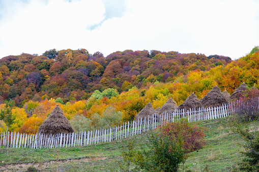 Bright autumn mountains of Ossetia in full bloom