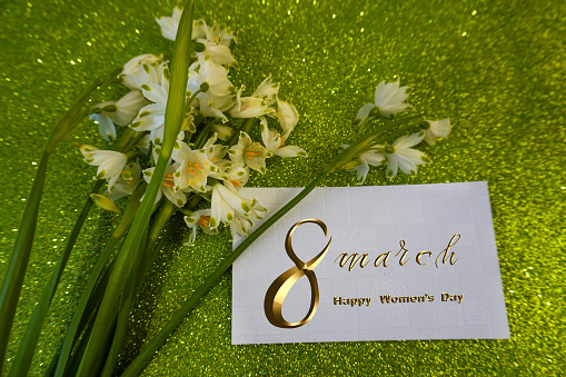 International Women's Day March 8! Flat Lay, banner, greeting card with flowers from March 8.    bouquet of snowdrops