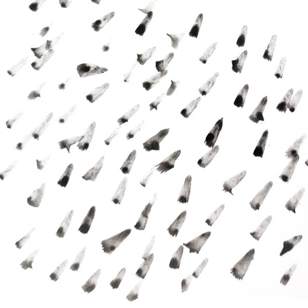 istock Abstract banner, black strokes on a white background, modern design, dots, abstract banner 1912871889