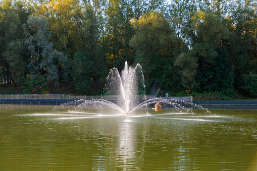 The magical beauty of the autumn park with a fountain on the pond brings peace and quiet.