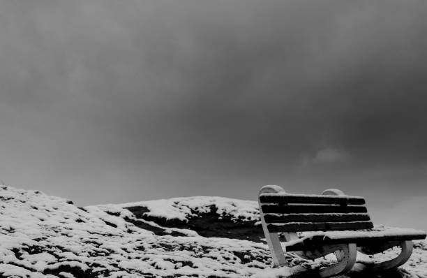 Bench on the snow on winter, black and white, stormy