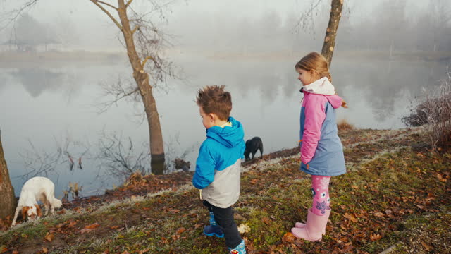 SLO MO Young Children in Winter Jackets Watching Cute Dogs on Lakeshore in Countryside in Foggy Weather