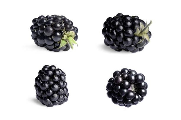 istock Tasty ripe blackberry isolated on white, collage 1913117569