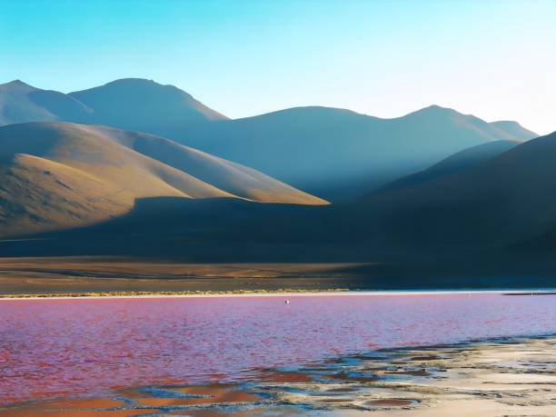 die lagune von altiplano in bolivien - laguna colorada stock-fotos und bilder