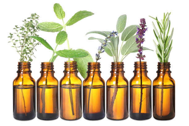 istock Set of different essential oils with herbs isolated on white 1913194257