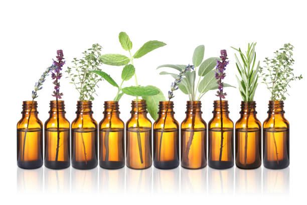 istock Set of different essential oils with herbs isolated on white 1913194260