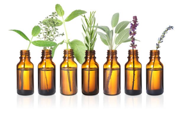 istock Set of different essential oils with herbs isolated on white 1913194261
