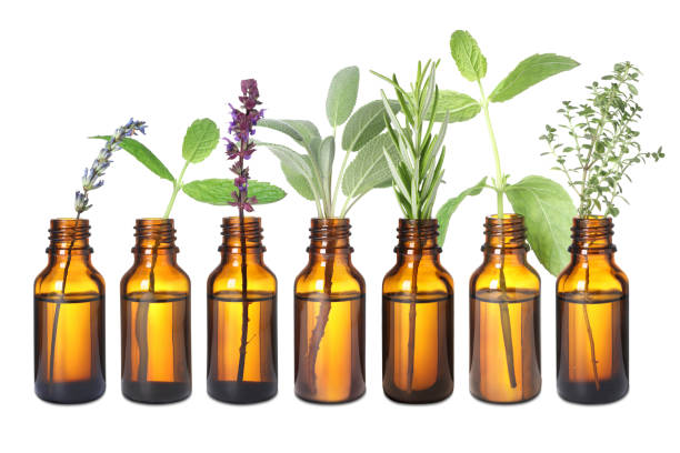 istock Set of different essential oils with herbs isolated on white 1913194768