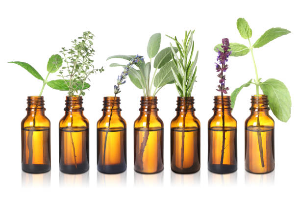 istock Set of different essential oils with herbs isolated on white 1913194771