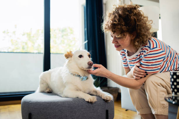 istock Young woman with a dog 1913233664