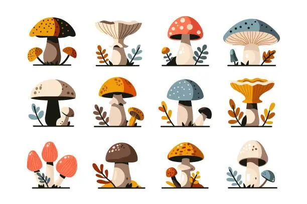 Vector illustration of Abstract mushrooms. Forest plants different shapes, amanita, chanterelle, boletus, fly agaric, cartoon poisonous and edible fungi. Vector flat set