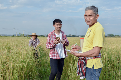 Asian senior volunteer wears yellow shirt and holds pen and notebook infront of asian young boy and asian elderly woman to survey, ask and store rice growing informaton the local agricultural office.