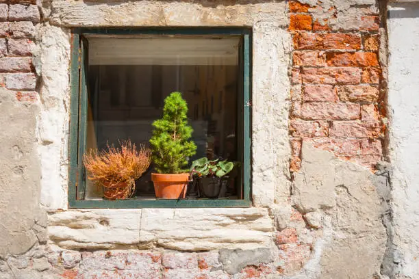 Potted plants in window in rustic bricks and concrete wall in European city.