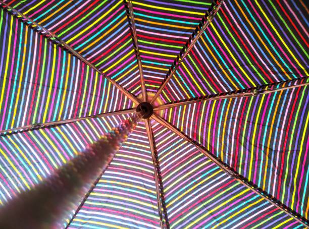 Umbrella