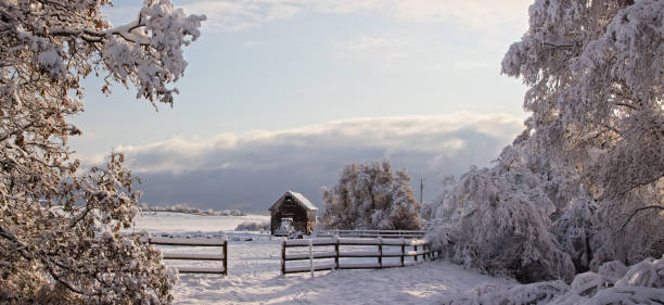 istock Winter in my Village 1913536032