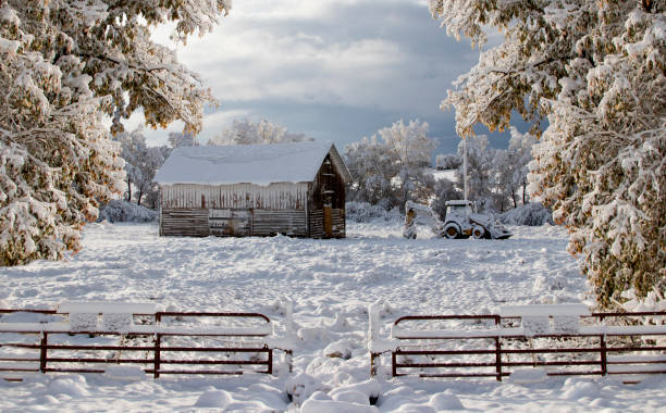 Rustic cabin in a Nebraska pasture during winter snow