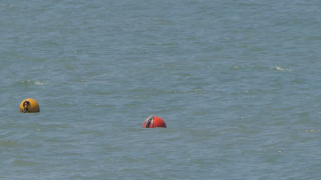 Floating buoy for ship in sea.