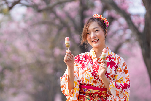 Japanese woman in traditional kimono dress holding sweet hanami dango dessert while walking inside park at cherry blossom tree during spring sakura festival