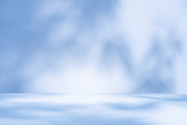 istock Wall interior background, studio, and backdrops show products. with shadow leaf from window color white and blue light. background for text insertion and presentation of product 1913672309