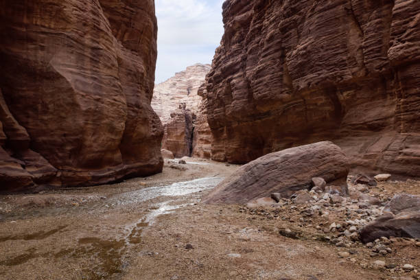 istock A shallow  stream flows between high rocks with beautiful amazing patterns on their walls at the end of a walking trail in the Wadi Numeirah gorge in Jordan 1913789593