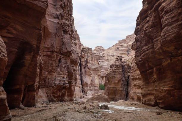 istock A shallow  stream flows between high rocks with beautiful amazing patterns on their walls at end of a walking trail in the Wadi Numeirah gorge in Jordan 1913799805