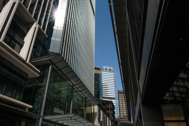 istock Tall city buildings 1913830921