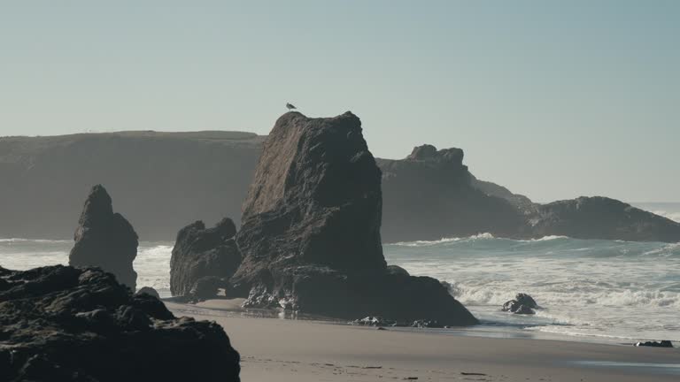 Waves of the Pacific ocean and the rock formations on the coast of Fort Bragg city in California