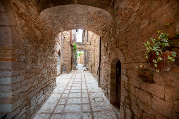 istock Cobblestone Pedestrian Alley 1913969040