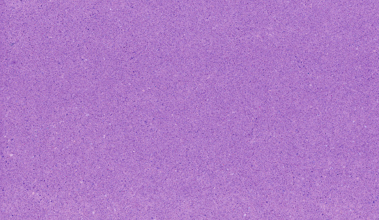 Purple violet foil background, metal texture