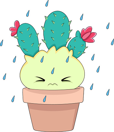 cactus growing in a pot, looking scared because it got rained on, cartoon flat illustration
