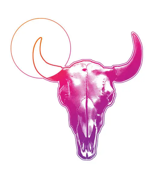 Vector illustration of Bull - Animal Skull and horns