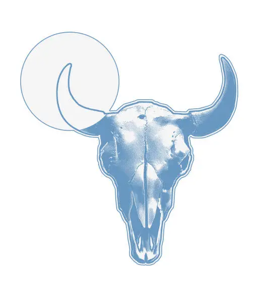 Vector illustration of Bull - Animal Skull and horns