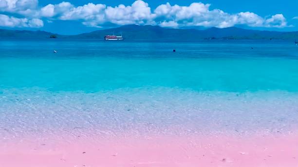 praia rosa bonita e água azul clara da ilha de komodo (parque nacional de komodo), labuan bajo indonésia - labuanbajo - fotografias e filmes do acervo