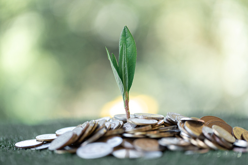 Plant growth on a pile of money coins on green bokeh background. currency, success business, investment, retirement, finance, growth loan and cash money saving for the future concepts.