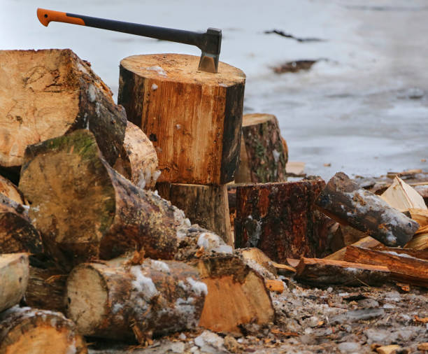 Lumberjack cutting wood at farm