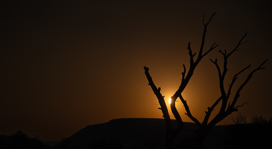 This sunset been shot during the sunset on one of the saudi arabian desert