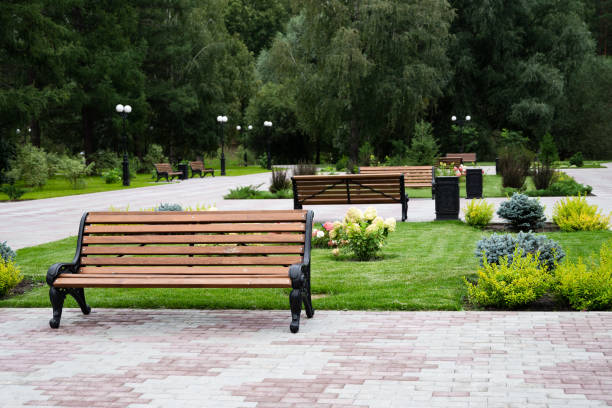 istock Wooden vintage bench in a public Park. 1914111144
